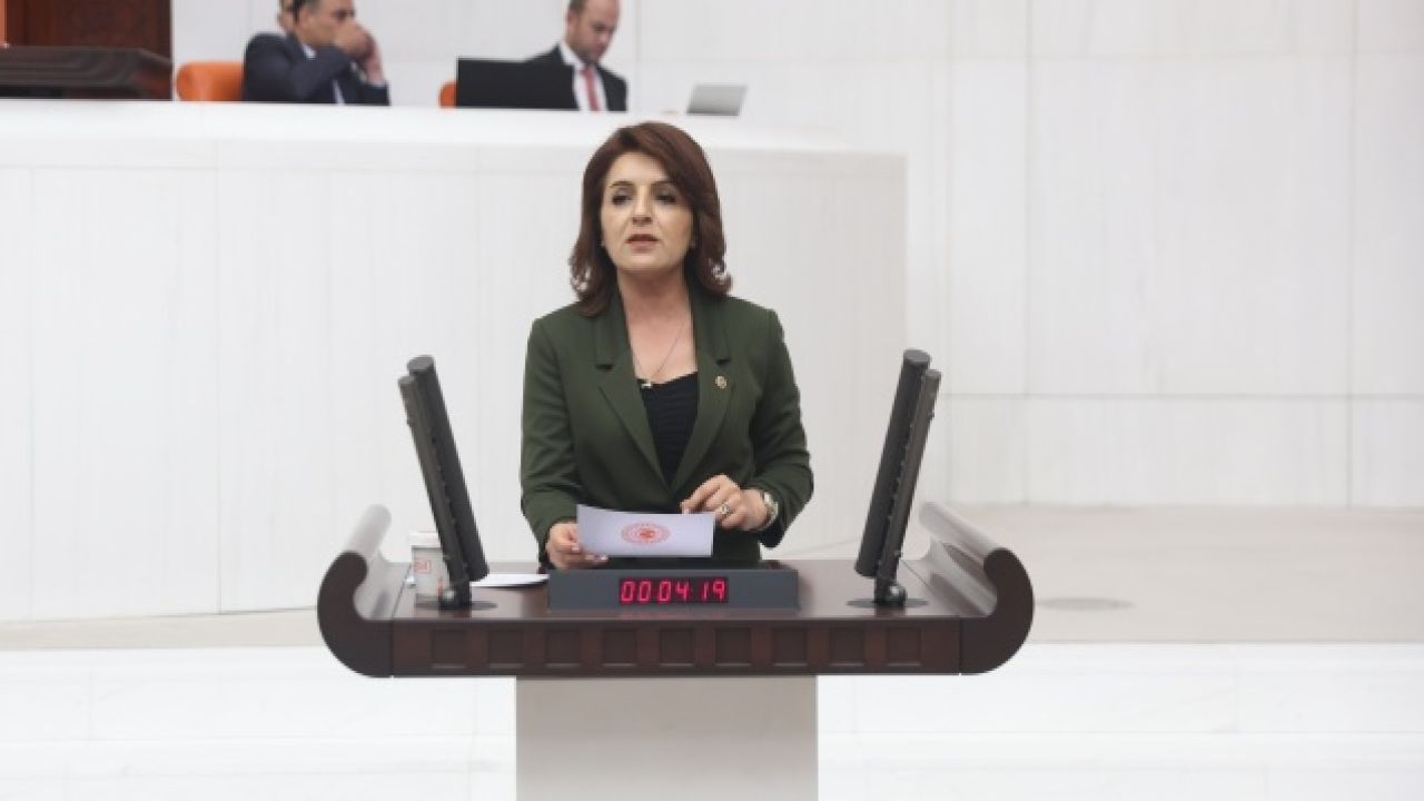 CHP'li Kış: Öğretmenlik Mesleği Kanunu Teklifine CHP Grubu Evet Oyu Vermeyecek