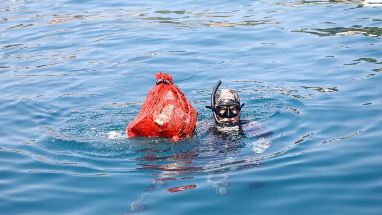 Bodrum'da Çevreciler 219 Kilogram Atık Topladı