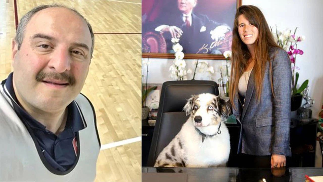 Denizli'den AKP'li Varank'a tepki: Köpeğim sizden daha mantıklı