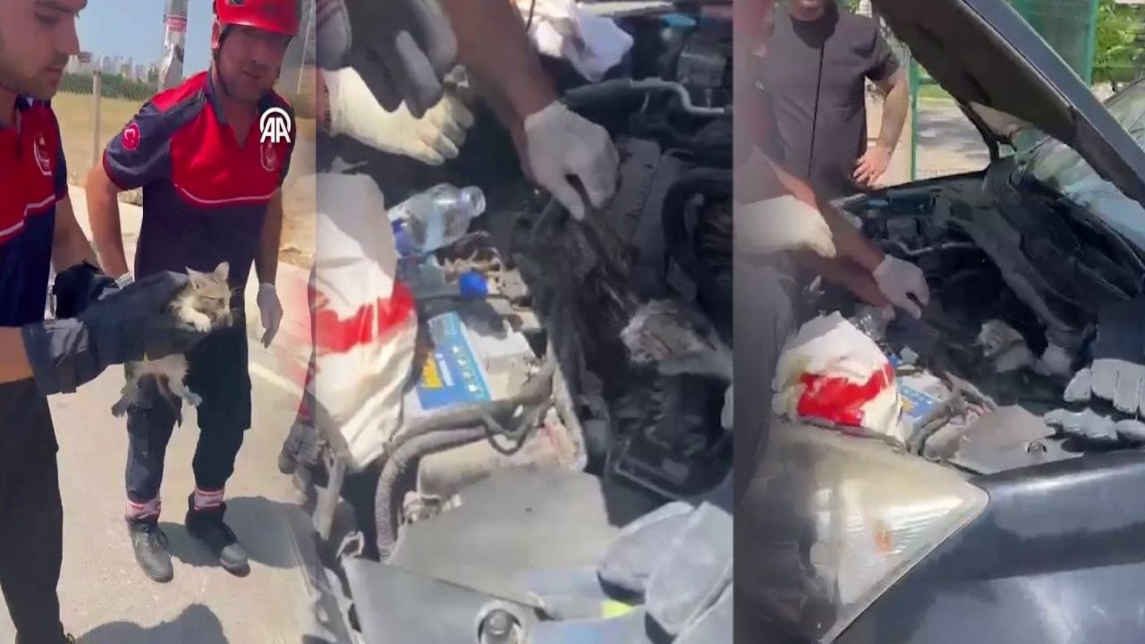Şefkatli eller, acı çığlıkları dindirdi