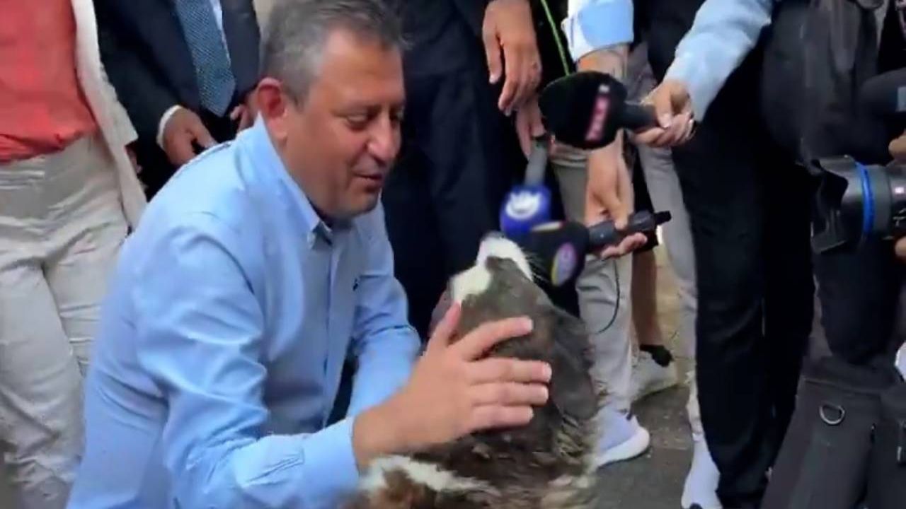 Özgür Özel, Meclis'te Sokak Hayvanlarına Yönelik Tehditlere Dikkat Çekti