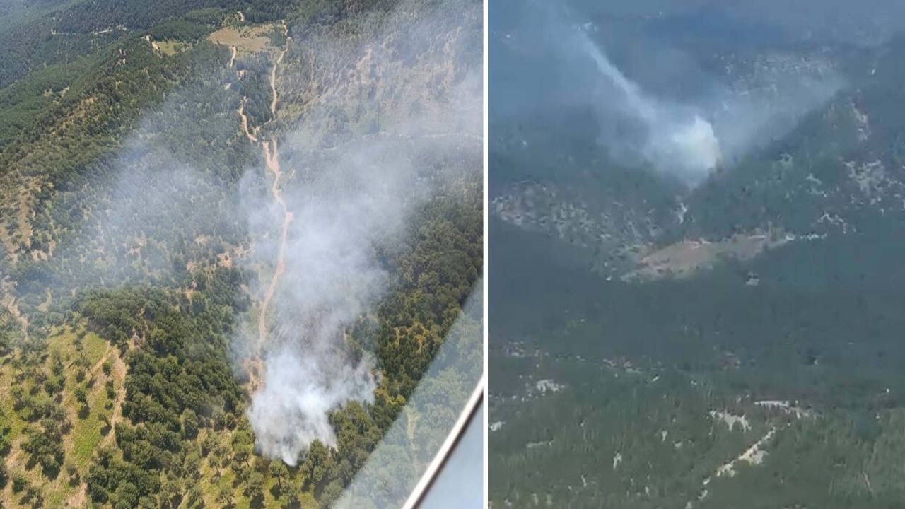 Balıkesir'de orman yangını çıktı
