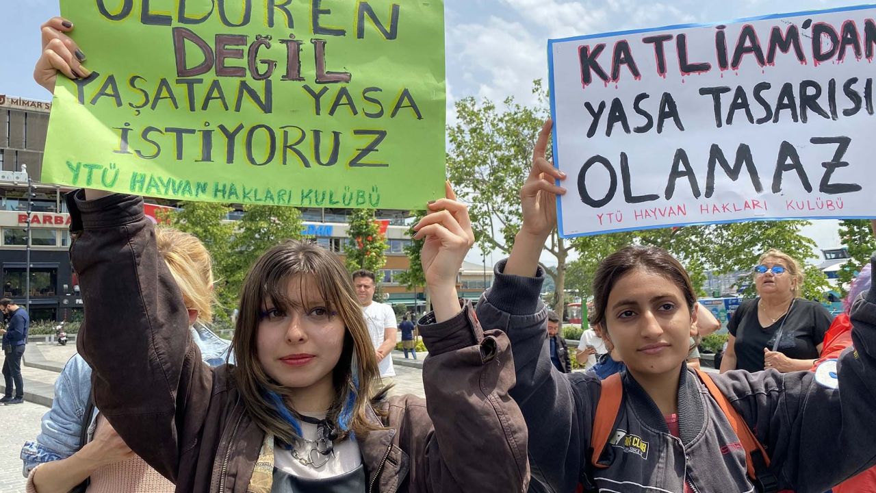 Hayvanseverlerden Erdoğan'a Yanıt: Zaten Sorumluluk Alıyoruz