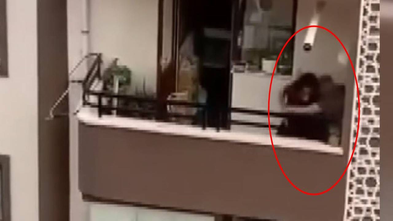 Annesini bıçaklayarak yaralayan kişi kameraya yakalandı