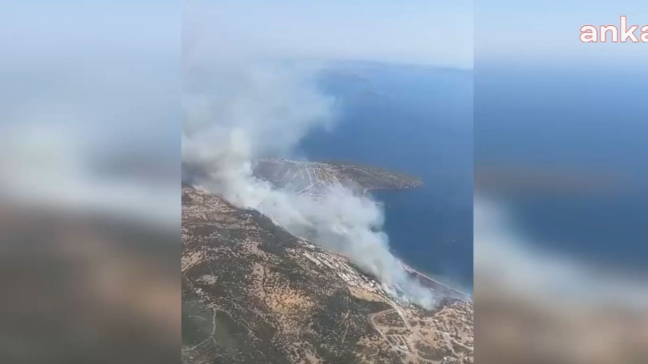 Dikili'deki orman yangınında yerleşim yerleri boşaltılıyor