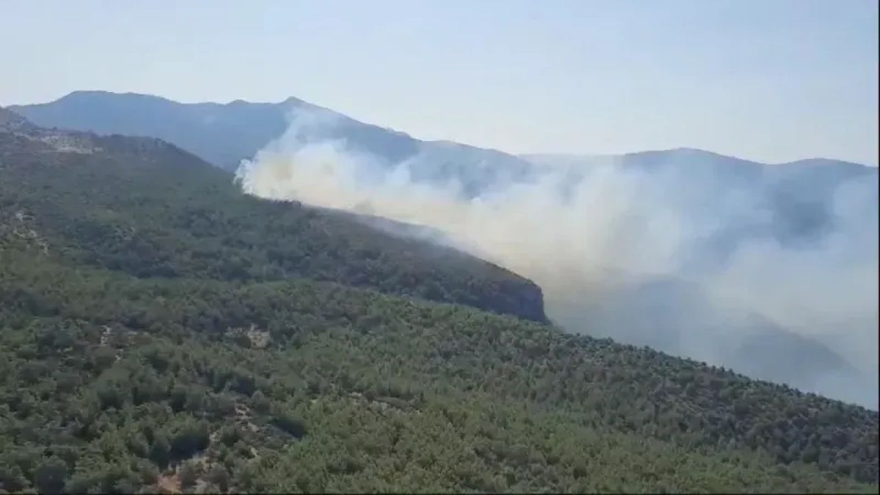 Milas'ta çıkan orman yangınına müdahale başladı