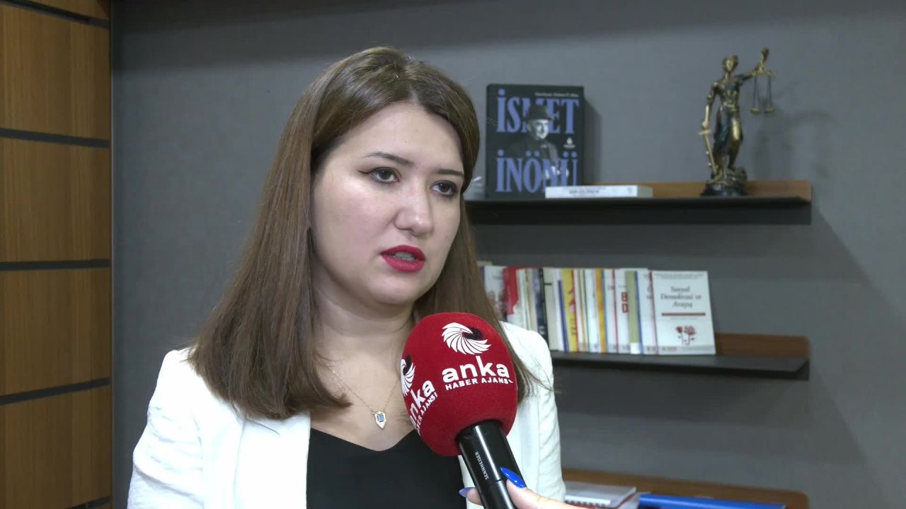 CHP Genel Başkan Yardımcısı Gökçen: Sokak hayvanları yasa tasarısı, CHP'li belediyeleri cezalandırmak için bir bahane
