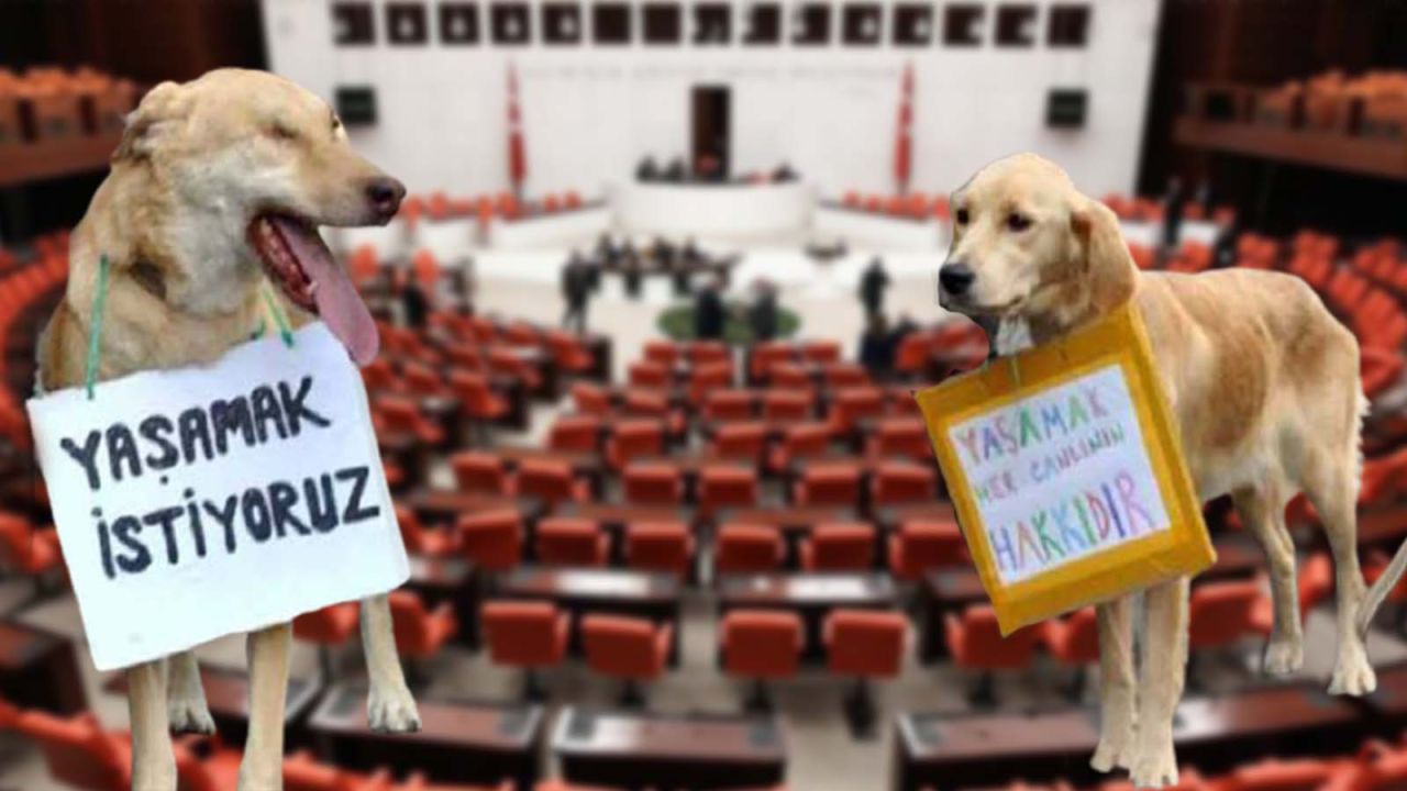 Genel Kurul, Ötanazi Teklifi İçin Bugün Toplanacak