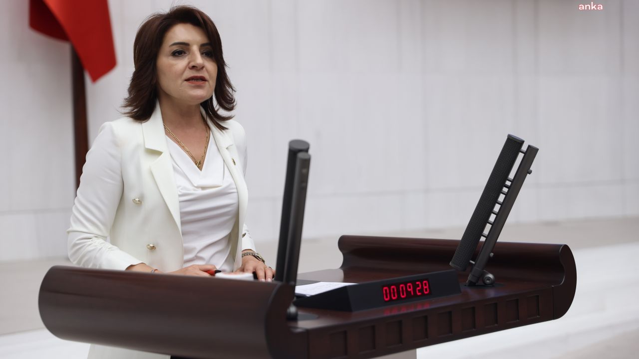 Sokak Hayvanları Yasası Meclis Genel Kurulu'nda Tartışıldı: CHP'li Kış, Yasamanın Sessizce Geçirilmek İstendiğini İddia Etti