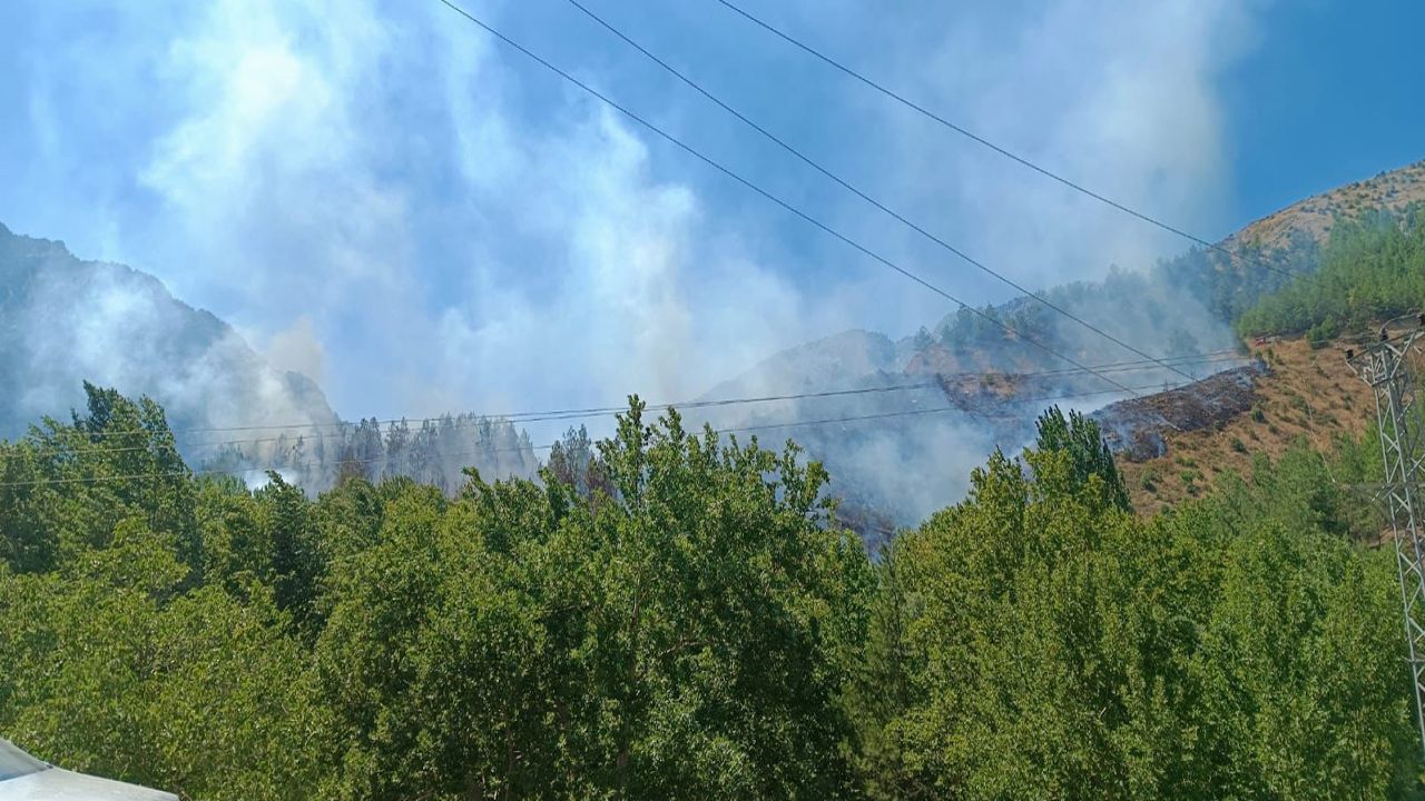 Kahramanmaraş'ta orman yangını çıktı