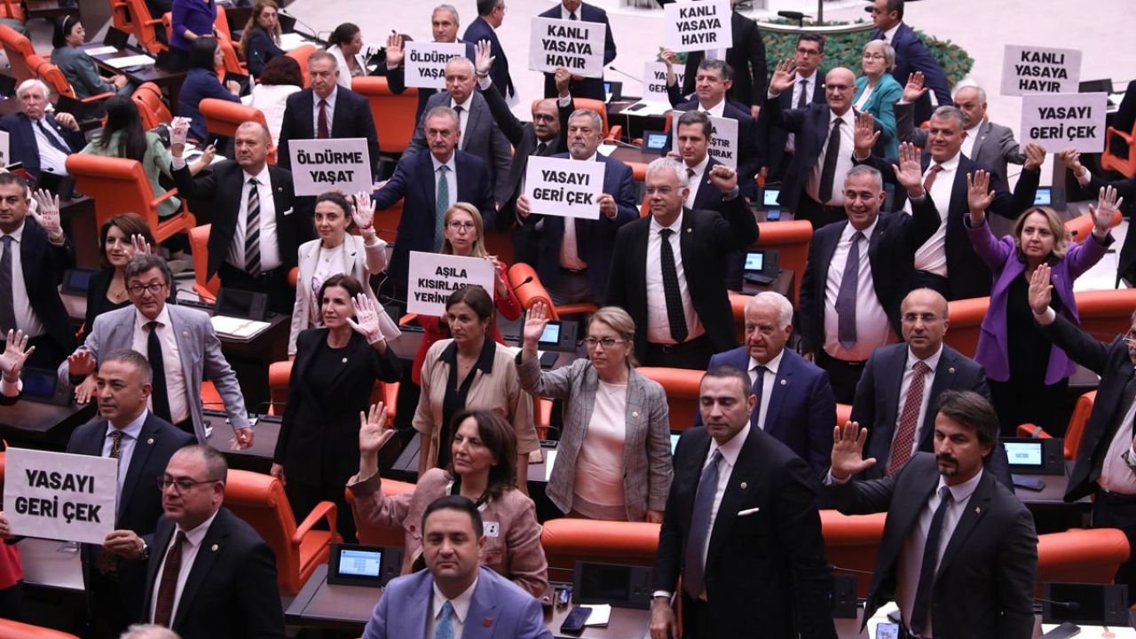 Meclis, sokak hayvanlarına yönelik düzenlemenin ilk beş maddesini onayladı
