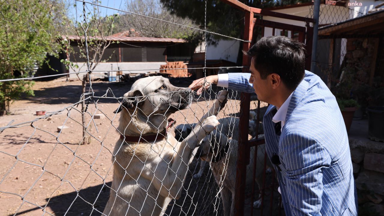 Marmaris Belediye Başkanı Ünlü, Can Kaybına İzin Vermeyeceklerini Belirtti