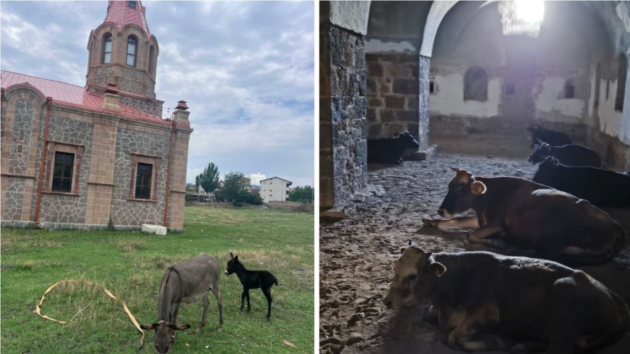 Erzurum'da tarihi alanlara hayvan bağlandığına ilişkin valilikten açıklama