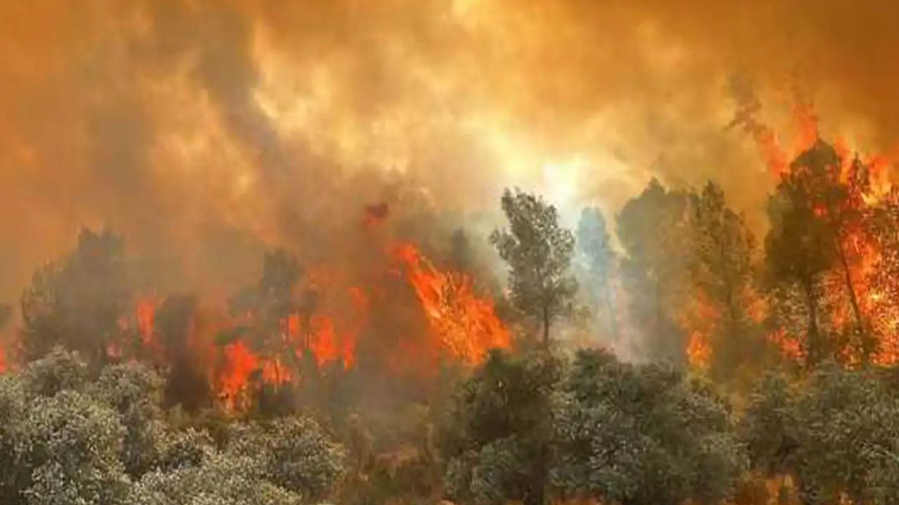 Muğla'da büyük orman yangınına karşı mücadele devam ediyor