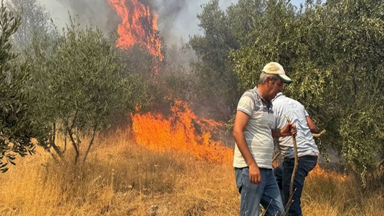 Aydın'da orman yangını kontrol altına alınamıyor: Alevler yerleşim bölgelerine ulaştı