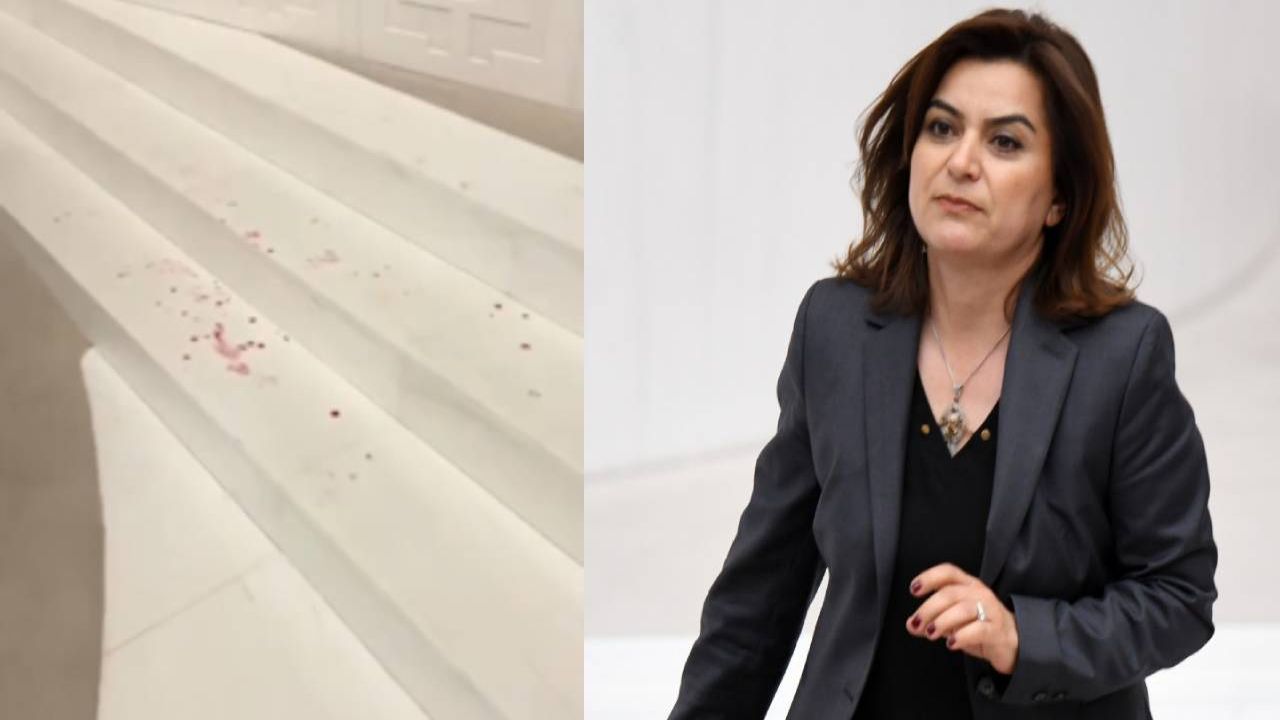 Dem Partili Koçyiğit, Meclis'teki yumruklu kavgada yaralandığını ve olayın planlı olduğunu iddia etti