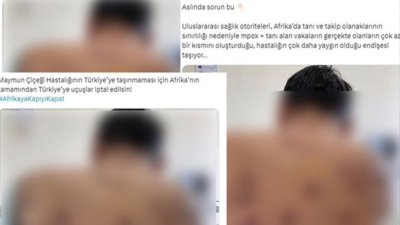 DMM, 'Maymun Çiçeği' Paylaşımları Hakkında Yalanlama Yaptı
