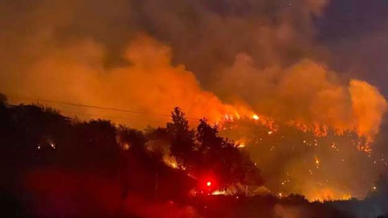 Antalya'daki ormanlık alanda yangın başladı