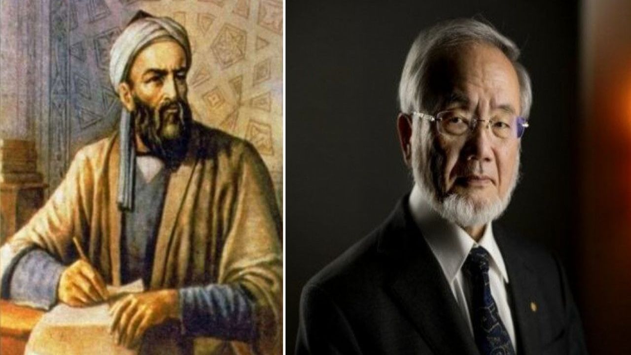 Orta Çağ'dan Kalma Sağlık Sırrı, Modern Bilimin Işığında Altın Değerine Yükseldi