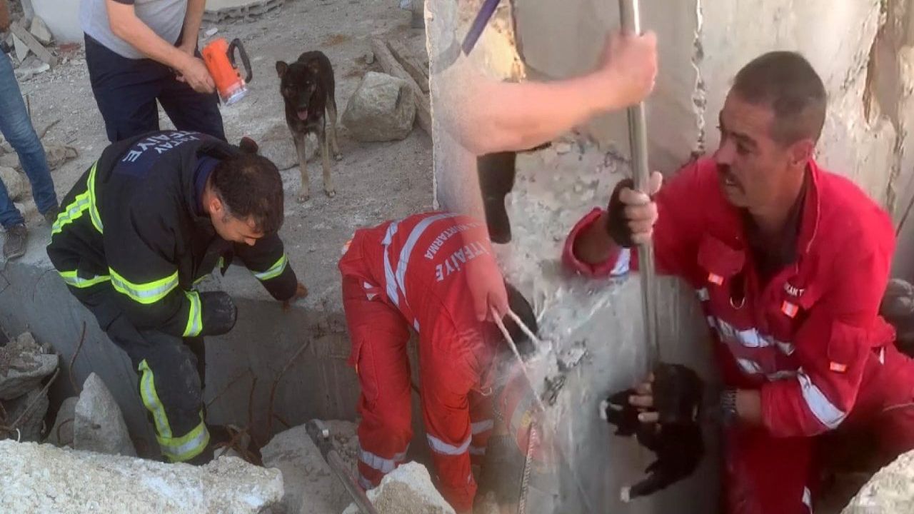 Anne köpek, enkaz altındaki yavrularının başında umutla bekledi