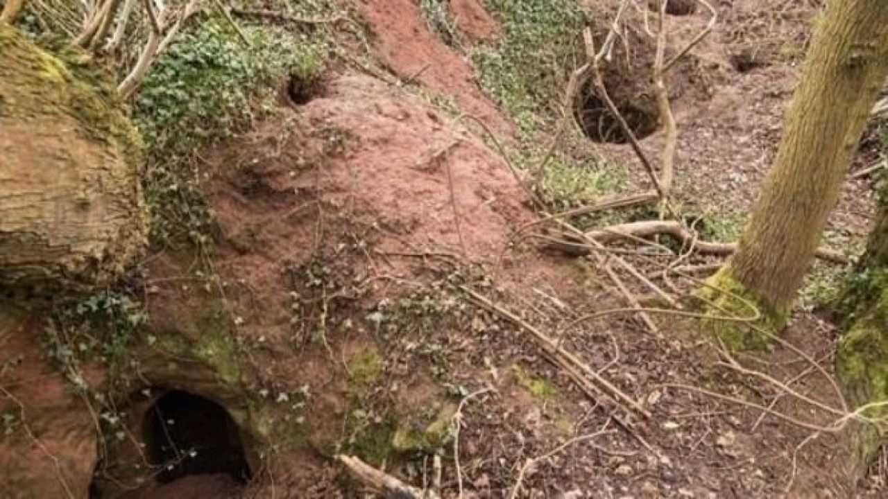 Ayı yuvası zannettiği mağaraya giren vatandaş büyük şok yaşadı