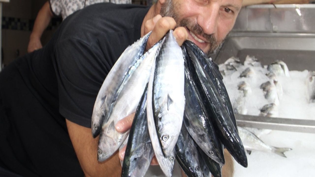 Deniz suyu sıcaklığı, palamutların ağırlığını etkiliyor