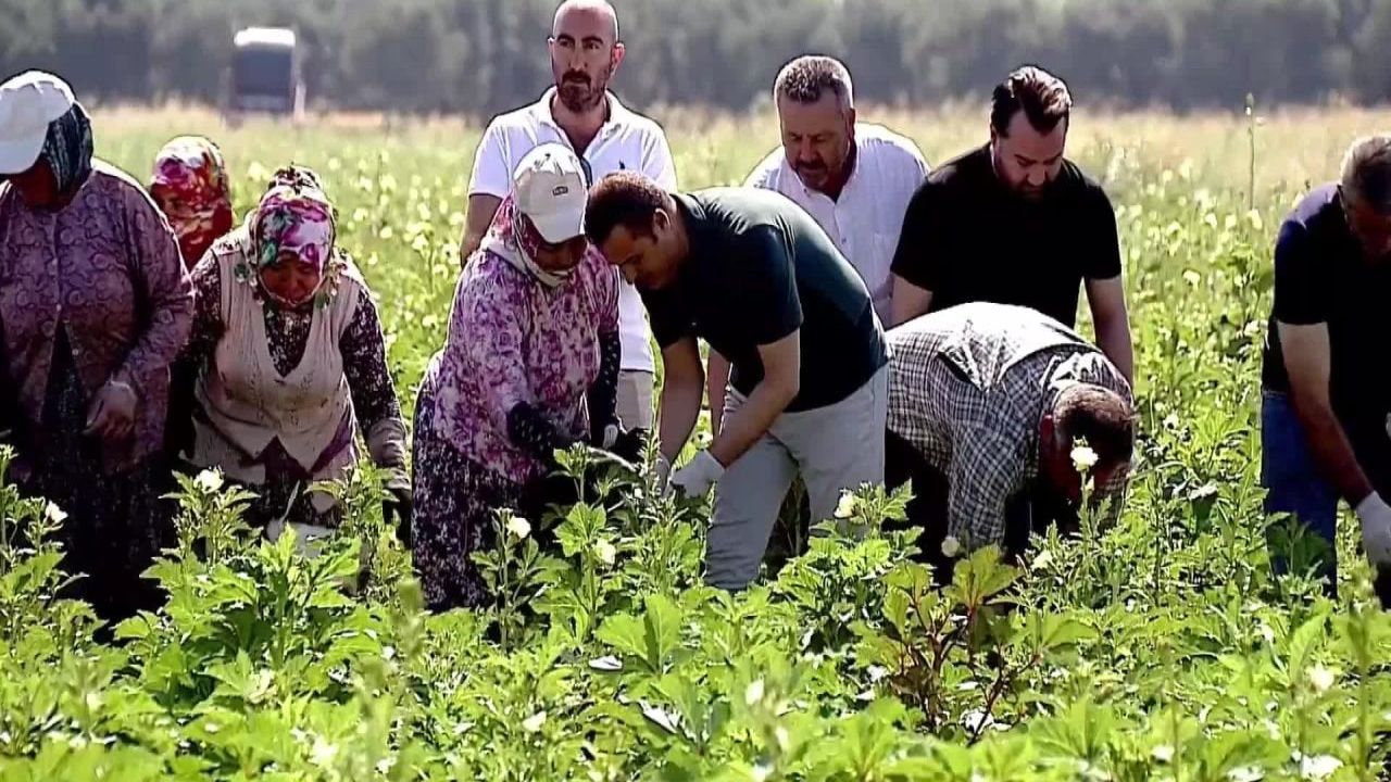 Balıkesir Büyükşehir Belediyesi'nden üretimi artıracak önemli hamle