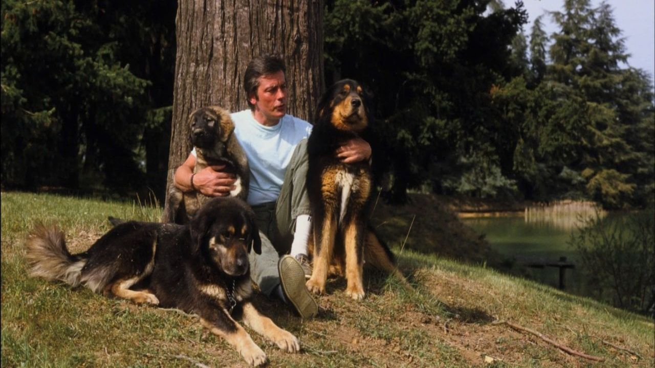 Alain Delon'un Köpeği İçin Ötenazi Vasiyeti Üzerine Ailesinden Açıklama