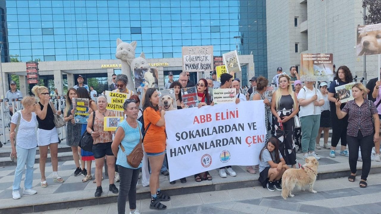 Hayvanseverler, Ankara Büyükşehir Belediyesi'nin uygulamalarına tepki gösterdi