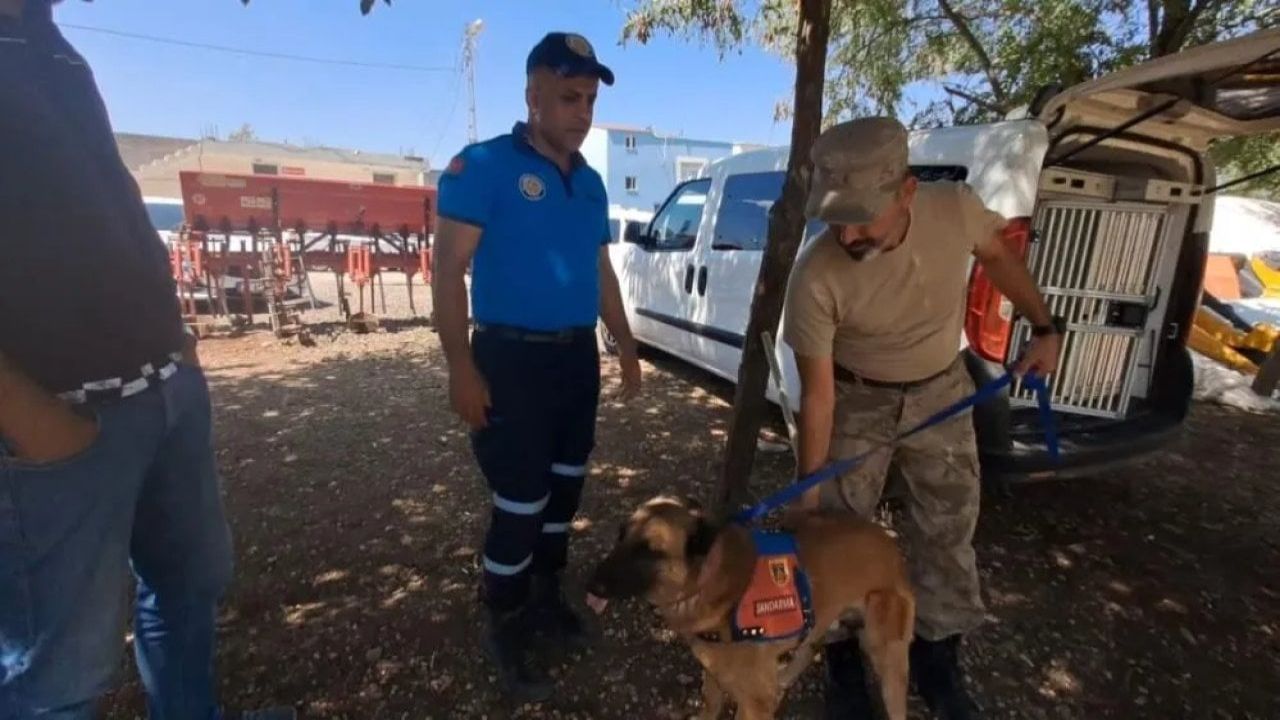 Diyarbakır'da kaybolan 8 yaşındaki kız çocuğu için arama çalışmaları başlatıldı