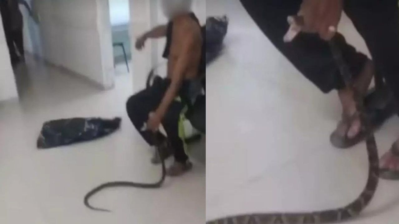 Yılan tarafından ısırılan adam, acil servise elinde yılanla koştu