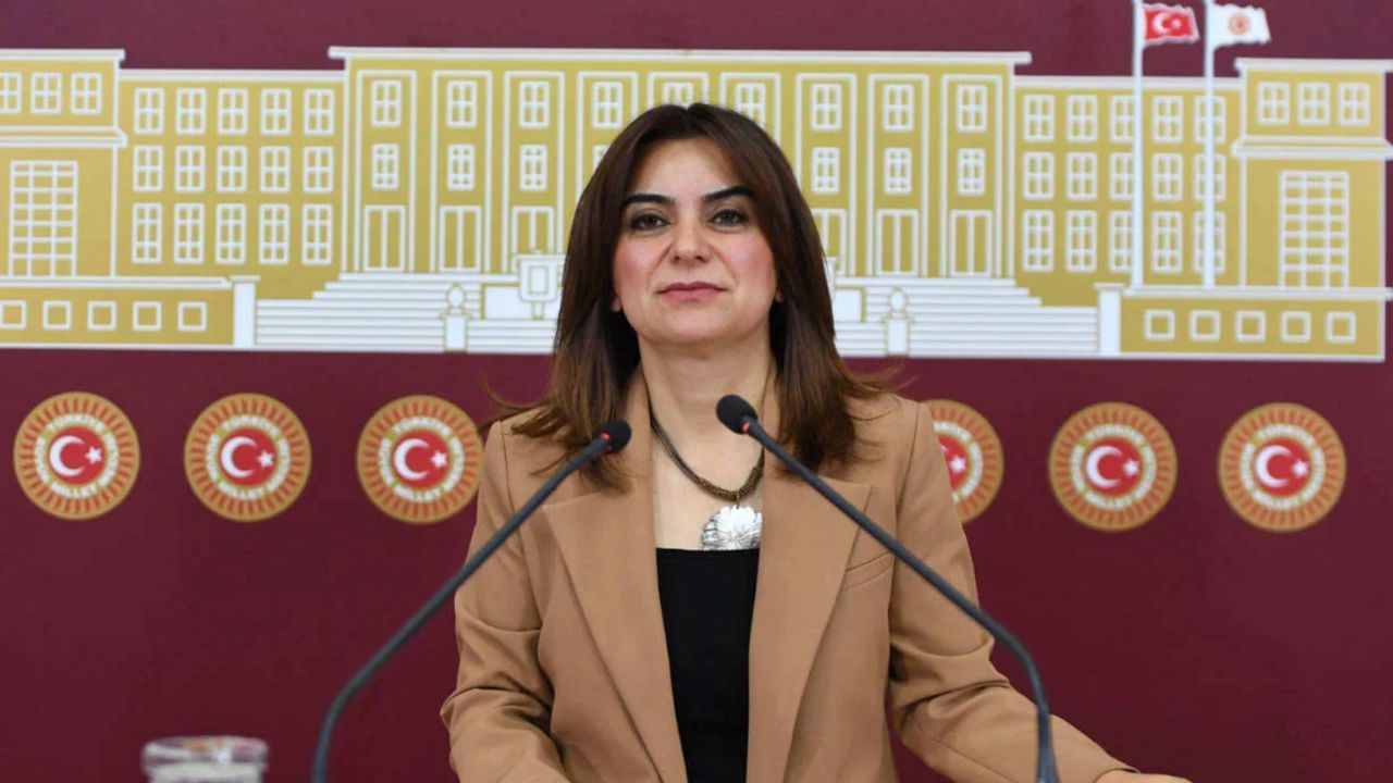 DEM Partili Koçyiğit'ten Erdoğan'a 'Can Atalay' yanıtı: Erdoğan'ı rahatsız eden muhalefetin ortak tutumudur