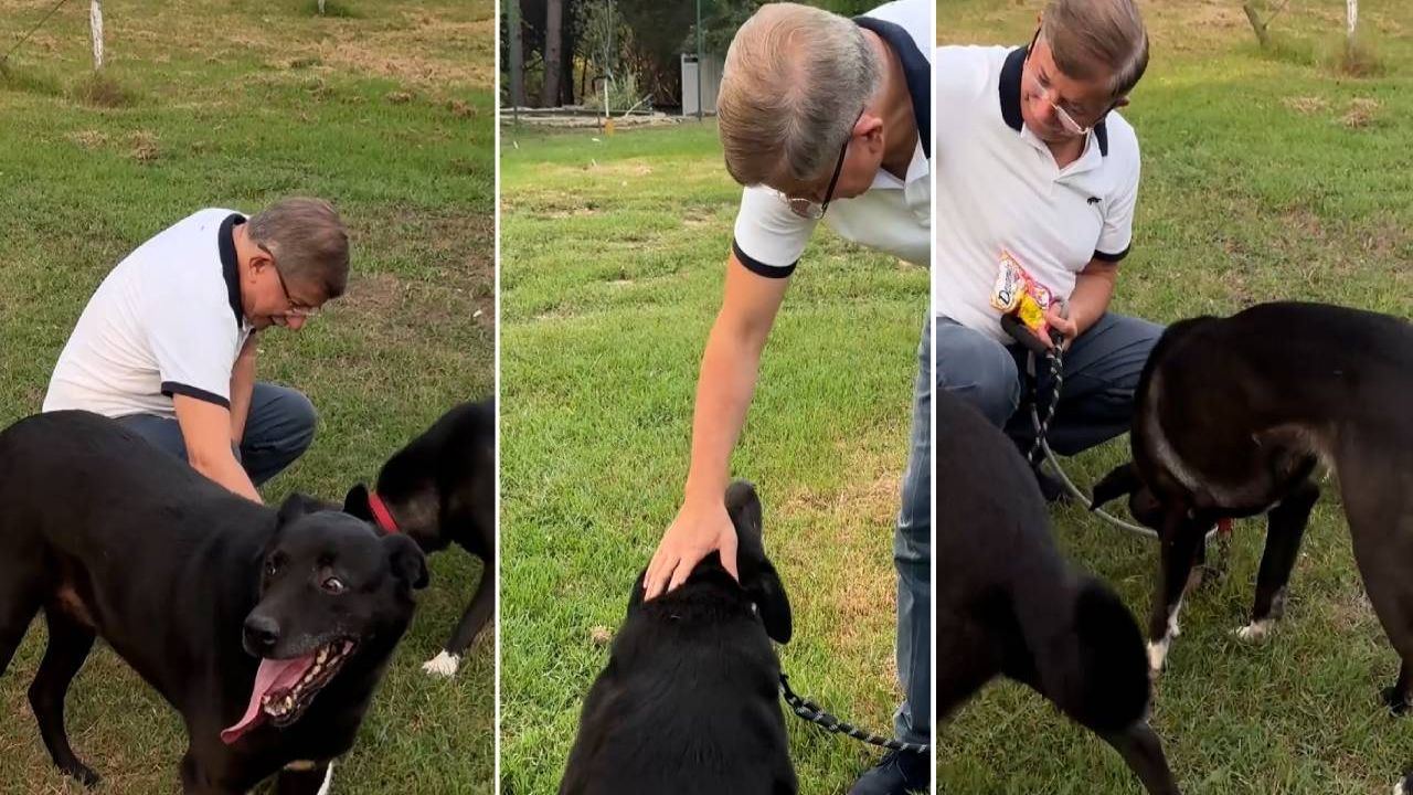 Ahmet Davutoğlu'ndan Dünya Köpekler Günü'nde anlamlı paylaşım