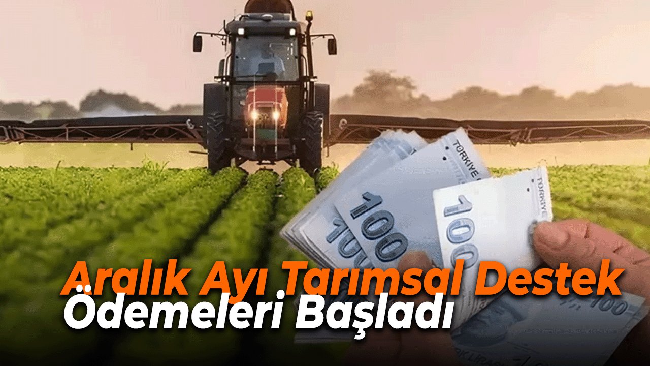 Aralık Ayı Tarımsal Destek Ödemeleri Başladı