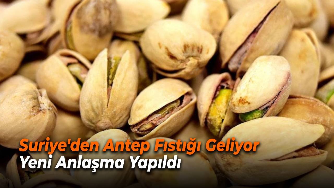 Suriye'den Antep Fıstığı Geliyor