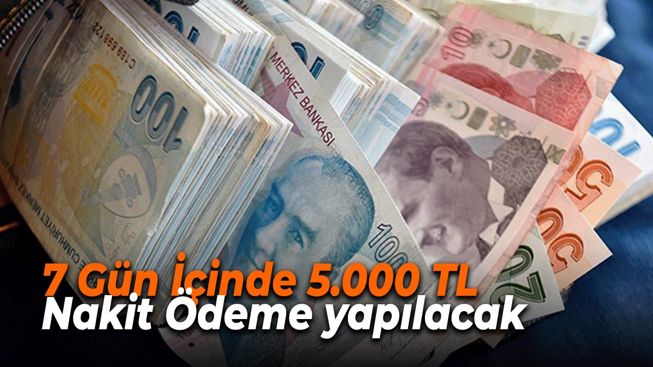 SSK ve BAĞ-KUR Emeklilerine 7 Gün İçinde 5.000 TL Nakit Ödeme yapılacak