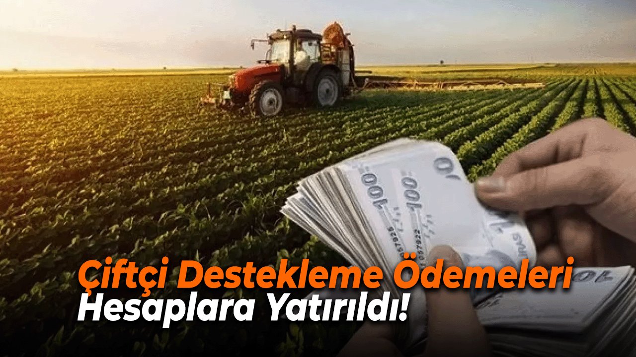 Çiftçi Destekleme Ödemeleri Hesaplara Yatırıldı!
