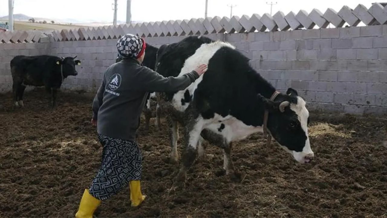 Eski hükümlü kadın devlet desteğiyle kendi işini kurdu