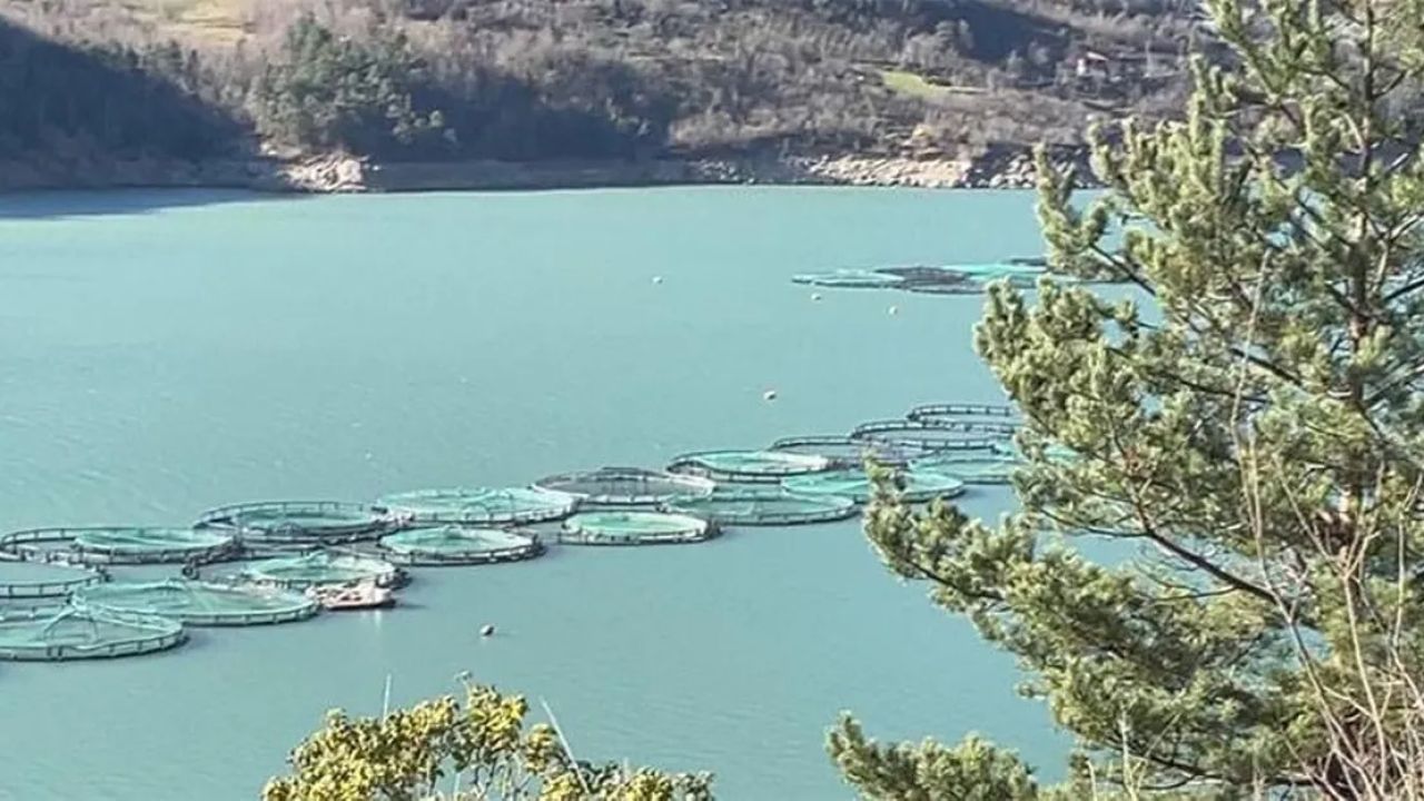 Çoruh'un baraj göllerinden 3 milyar TL gelir sağlandı