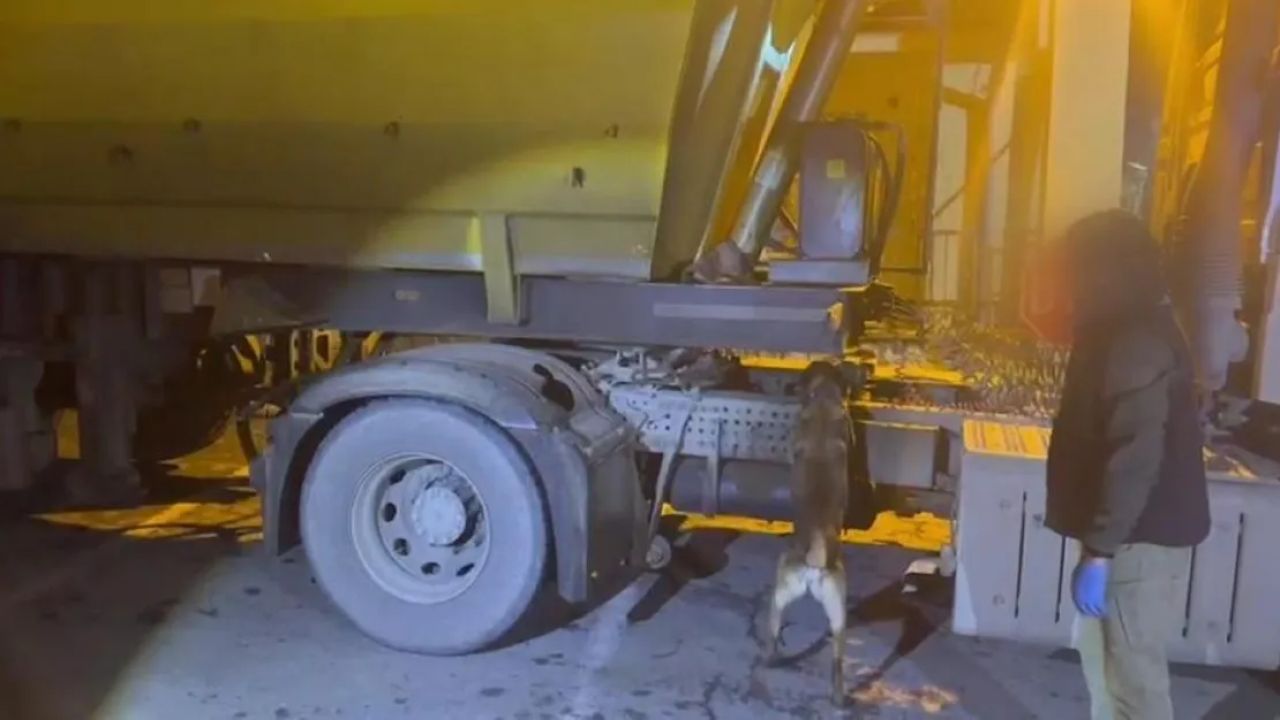 Batman'da Tır'da Ele Geçirilen Uyuşturucu