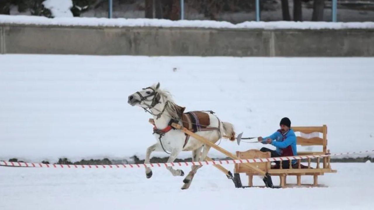 Erzurum'da Geleneksel Atlı Kızak Yarışları Gerçekleştirildi