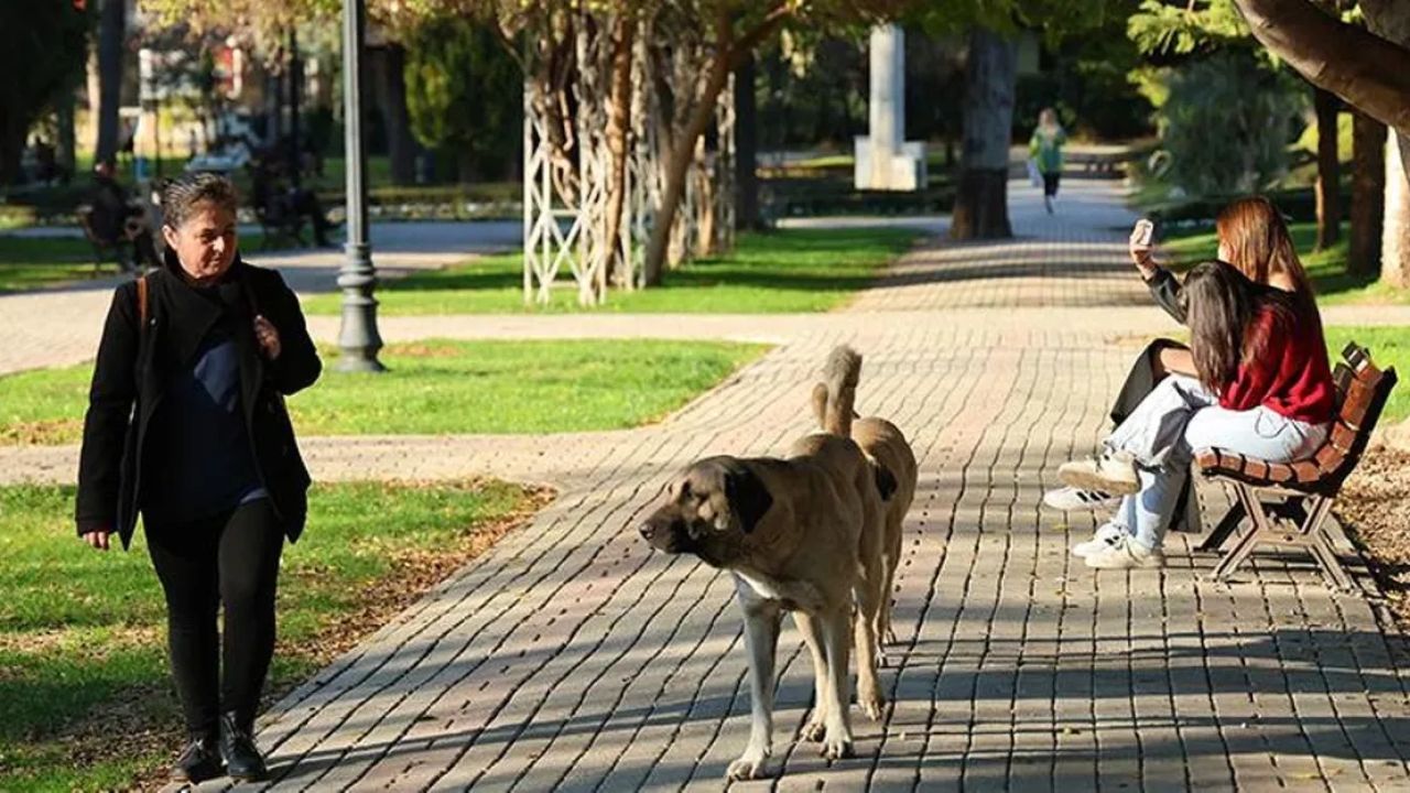 Adana'da güneşli hava vatandaşların yüzünü güldürdü
