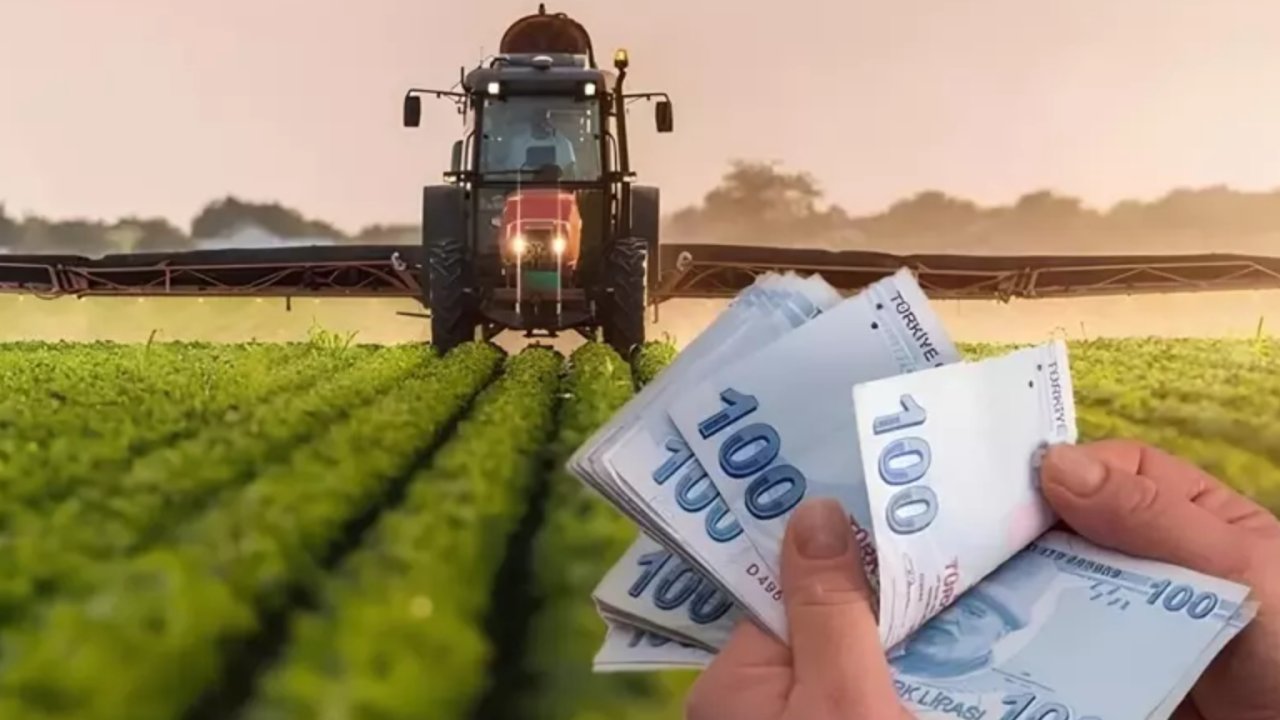 Çiftçilere 2025 Yılı Tarımsal Destek Ödemeleri ve Tutarları Açıklandı