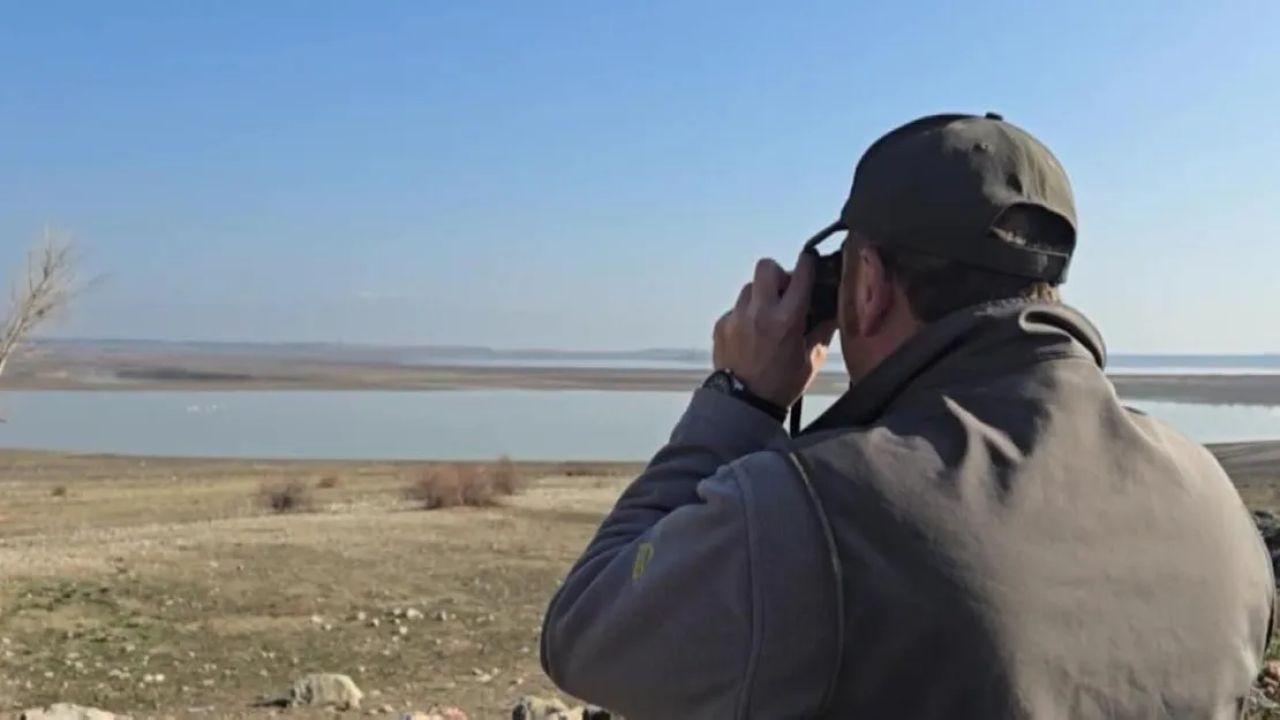 Amasya'da Ötücü Kuğular Yeniden Görüldü