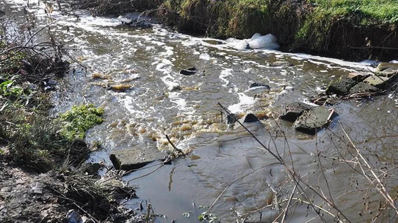 Lüleburgaz Saranlı Deresi'nde kirlilik ve kötü koku sorunu