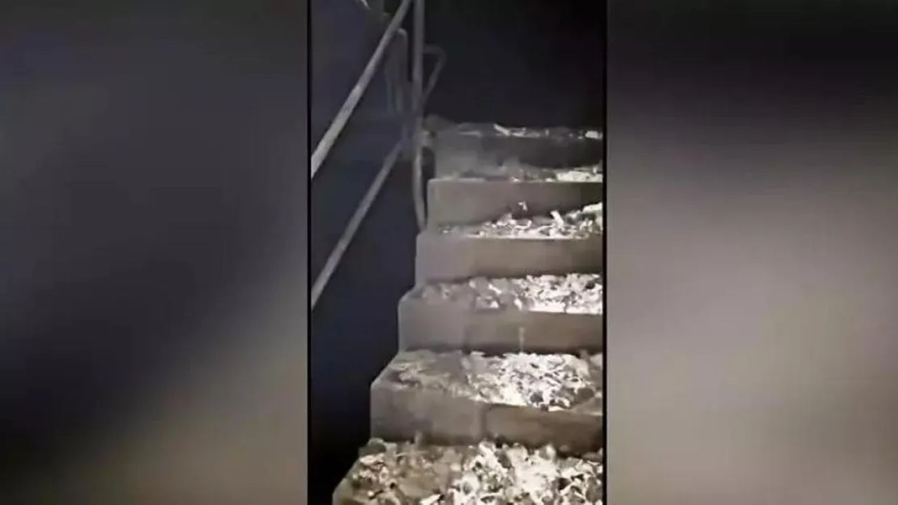 Oteldeki yangın güvenlik ihmali faciaya yol açtı