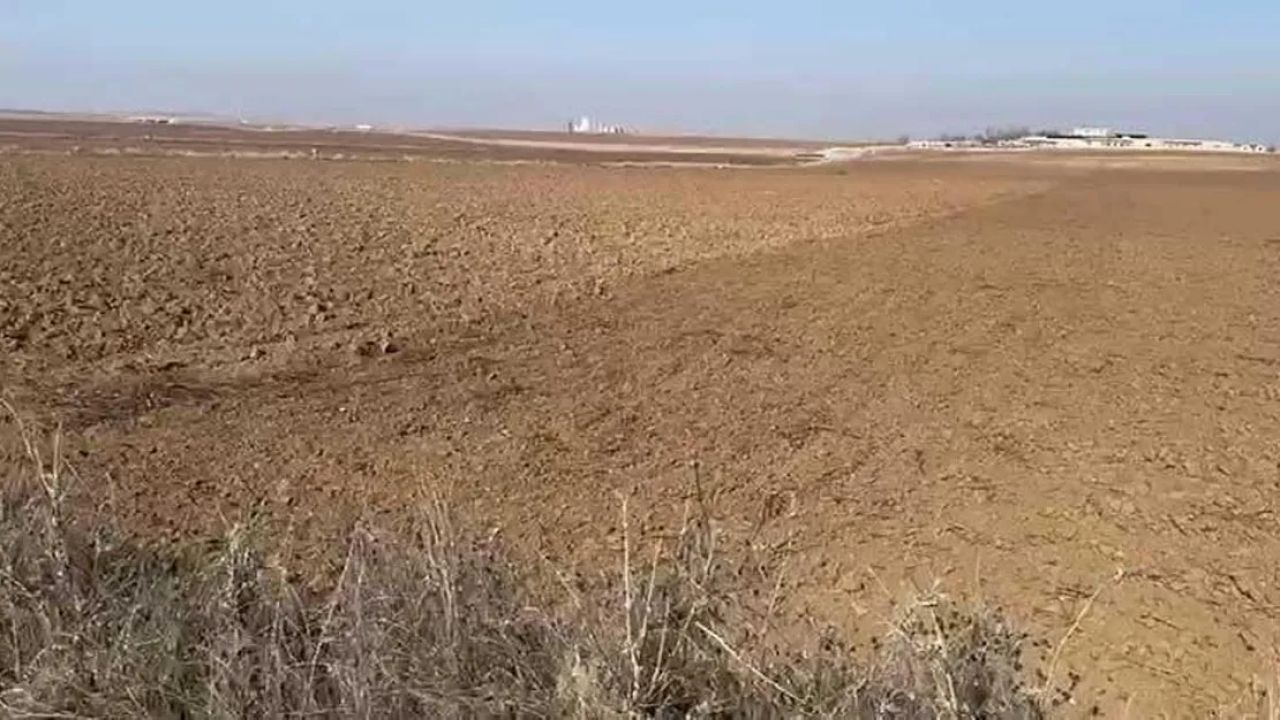 1200 dönümlük arazi anlaşmazlığı için vekalet mücadelesi