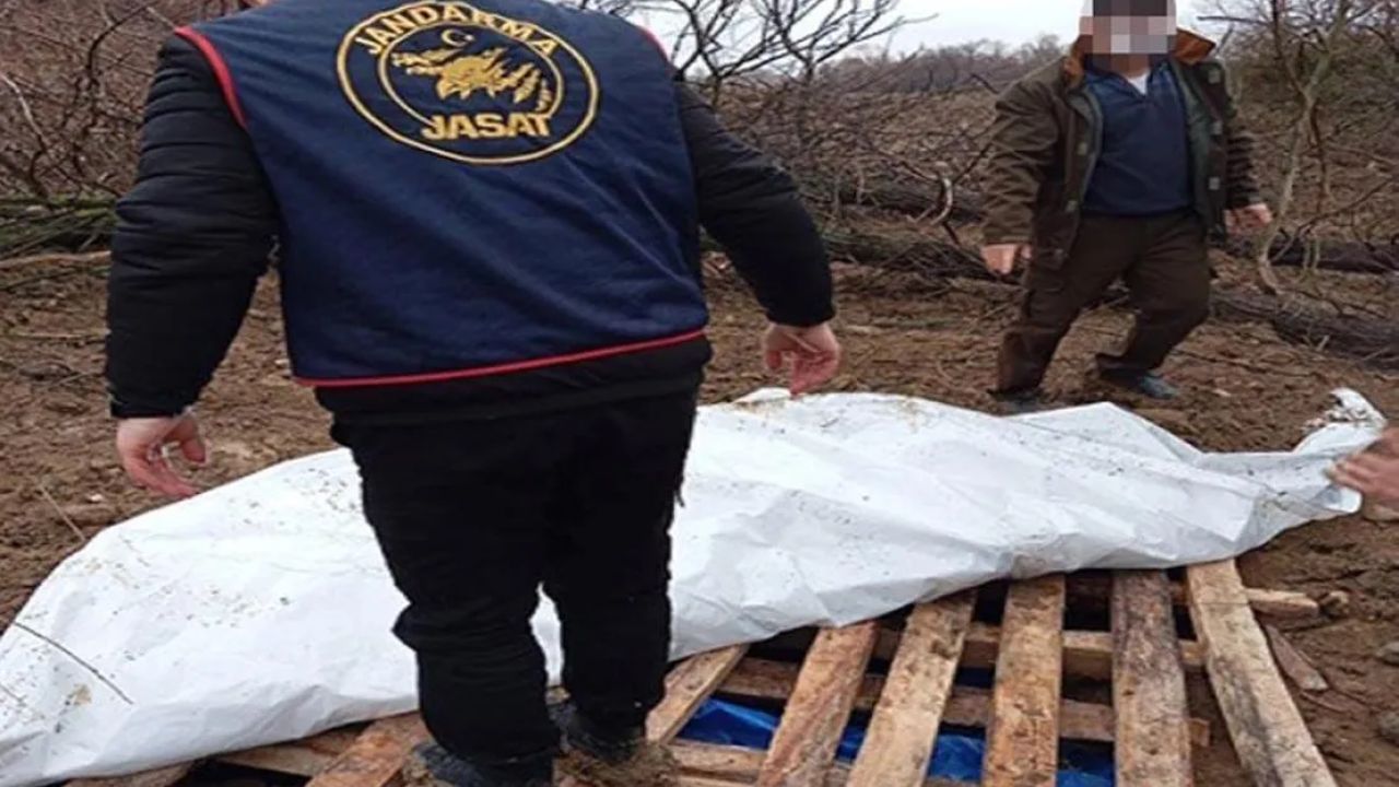 Çorum'da İddia Edilen Traktör Hırsızlığı Asılsız Çıktı
