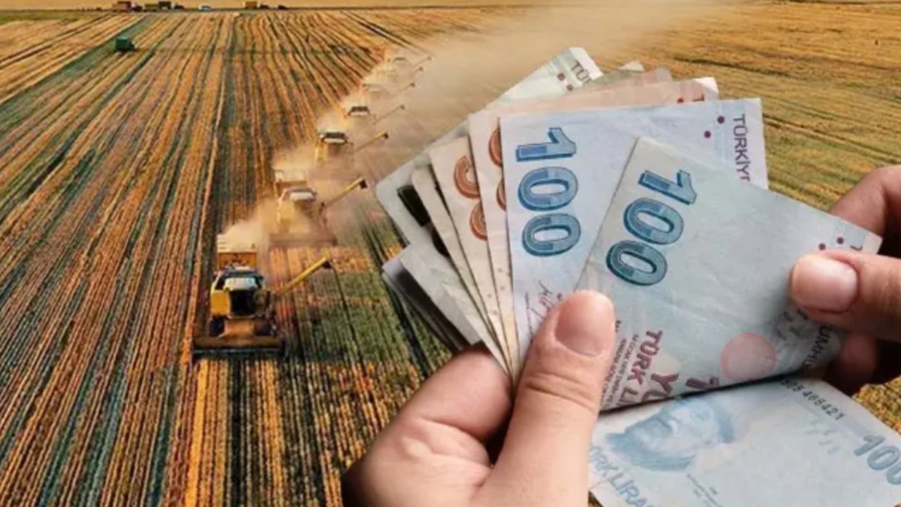 Çiftçilere 985 Milyon TL Destek Ödemesi! Yarın hesaplara yatacak