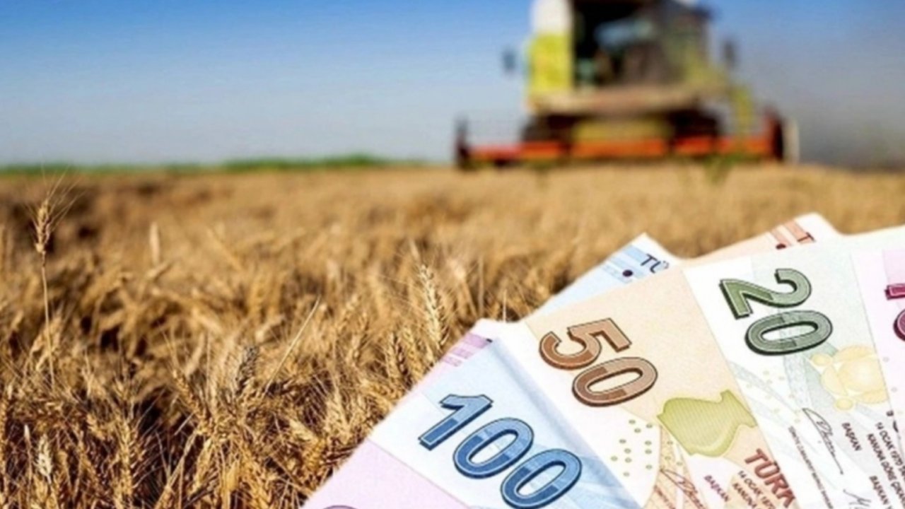 Tarım ve Hayvancılık destek paketi başvuru şartları belli oldu